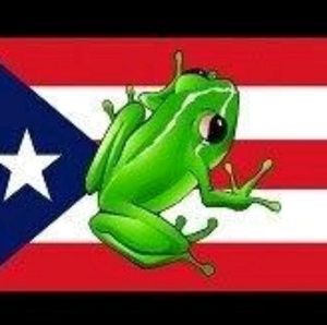 Meet your Posher, Jorge